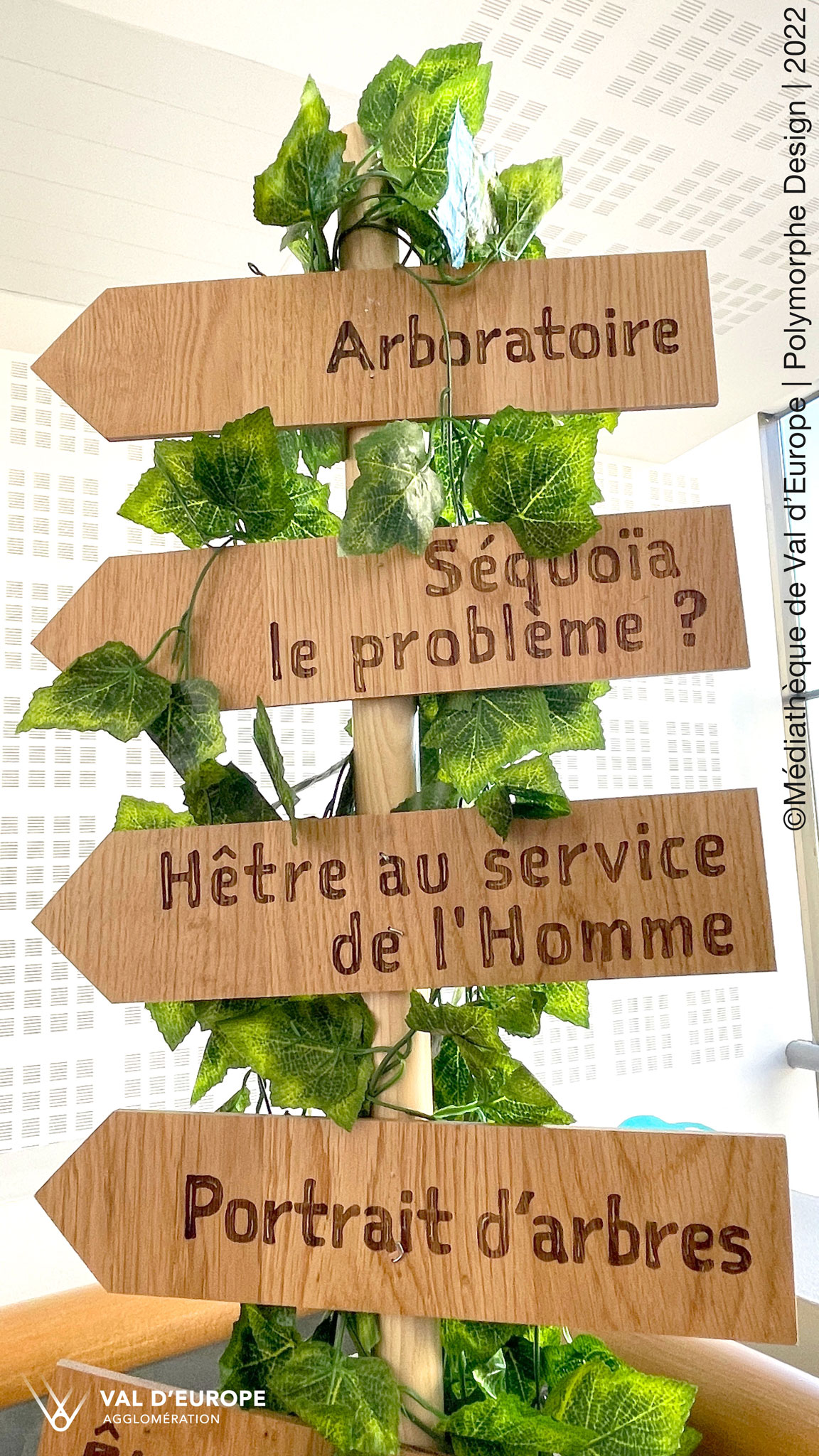 Signalétique dans l'exposition arbres : Arboratoire, Séquoia le problème, Hêtre au service de l'homme, portrait d'arbres.