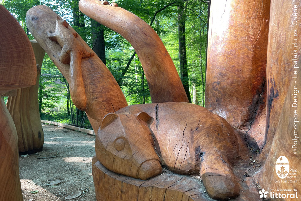 Sculpture tactile pédagogique : la faune de la forêt, avec l'emplématique blaireau et le curieux écureuil.